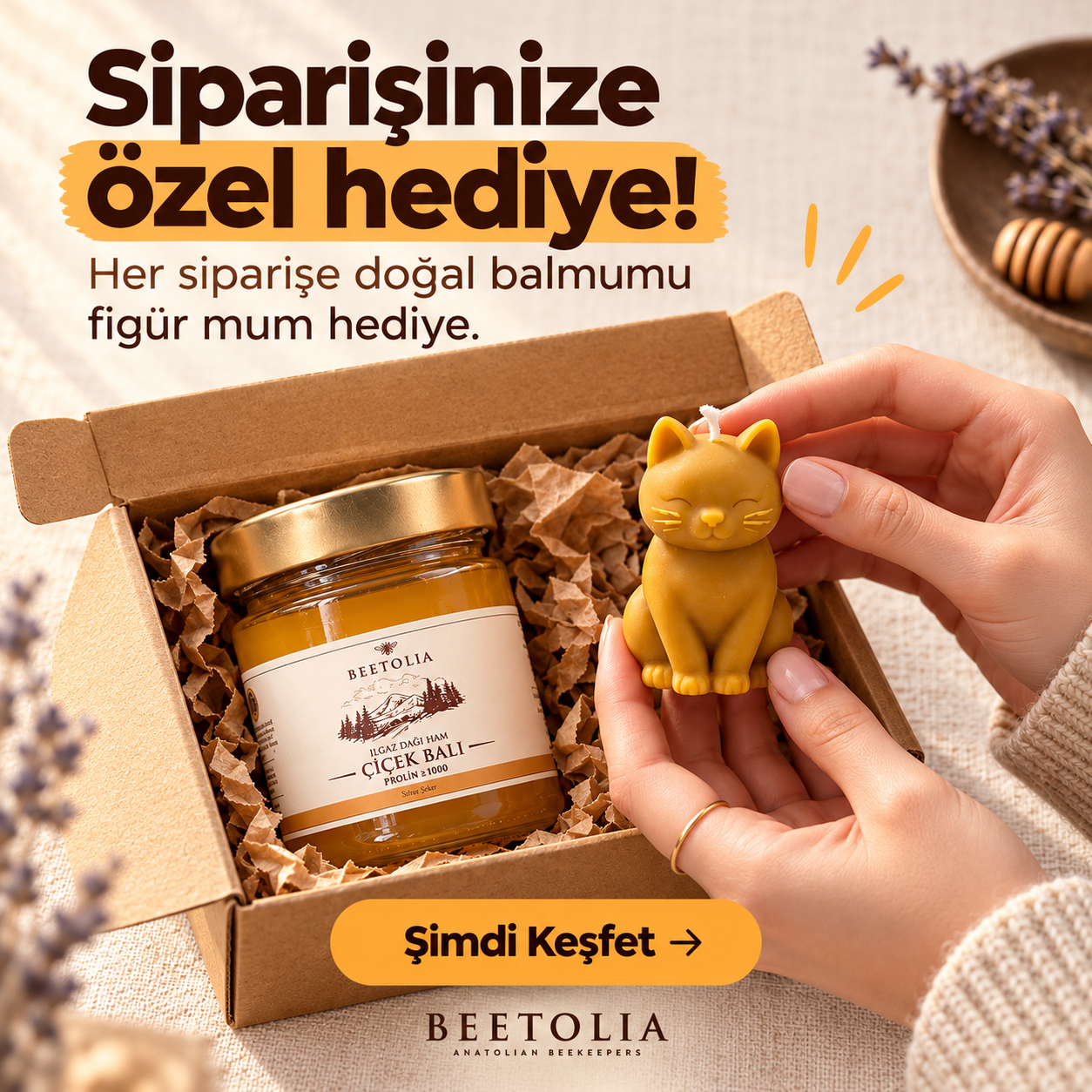 Kampanya görseli